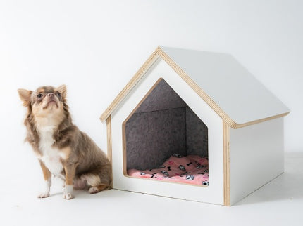 Tailody Mute Compact