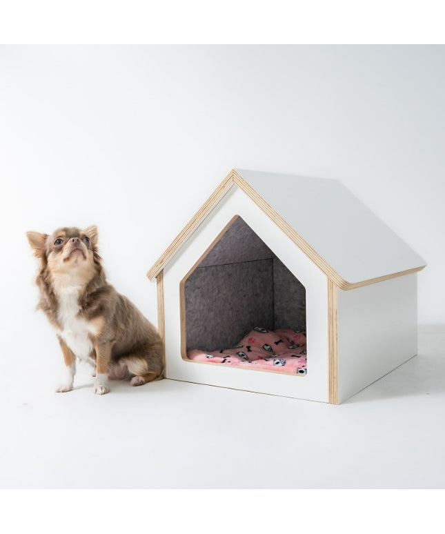 Tailody Mute Compact