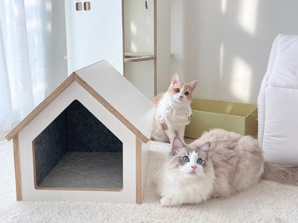 Tailody Mute Compact