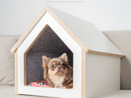 Tailody Mute Compact